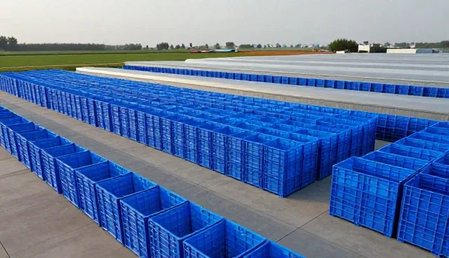批量包装配送中质量检验的关键关注点